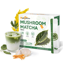 Mushroom Matcha Powder packaging with Lion's Mane and Cordyceps label