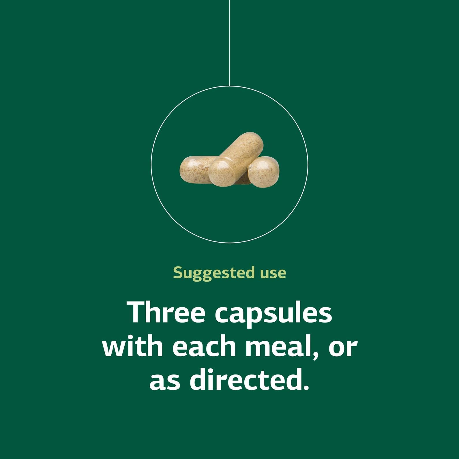 Illustration of mushroom powder for immune support