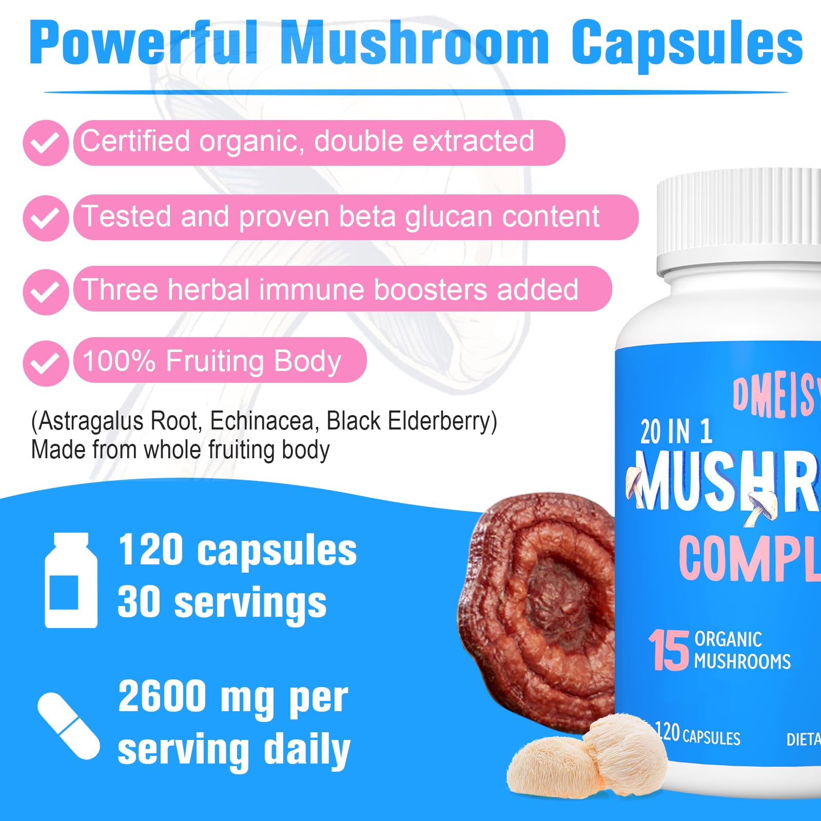 Chaga mushroom rich in polysaccharides and antioxidants