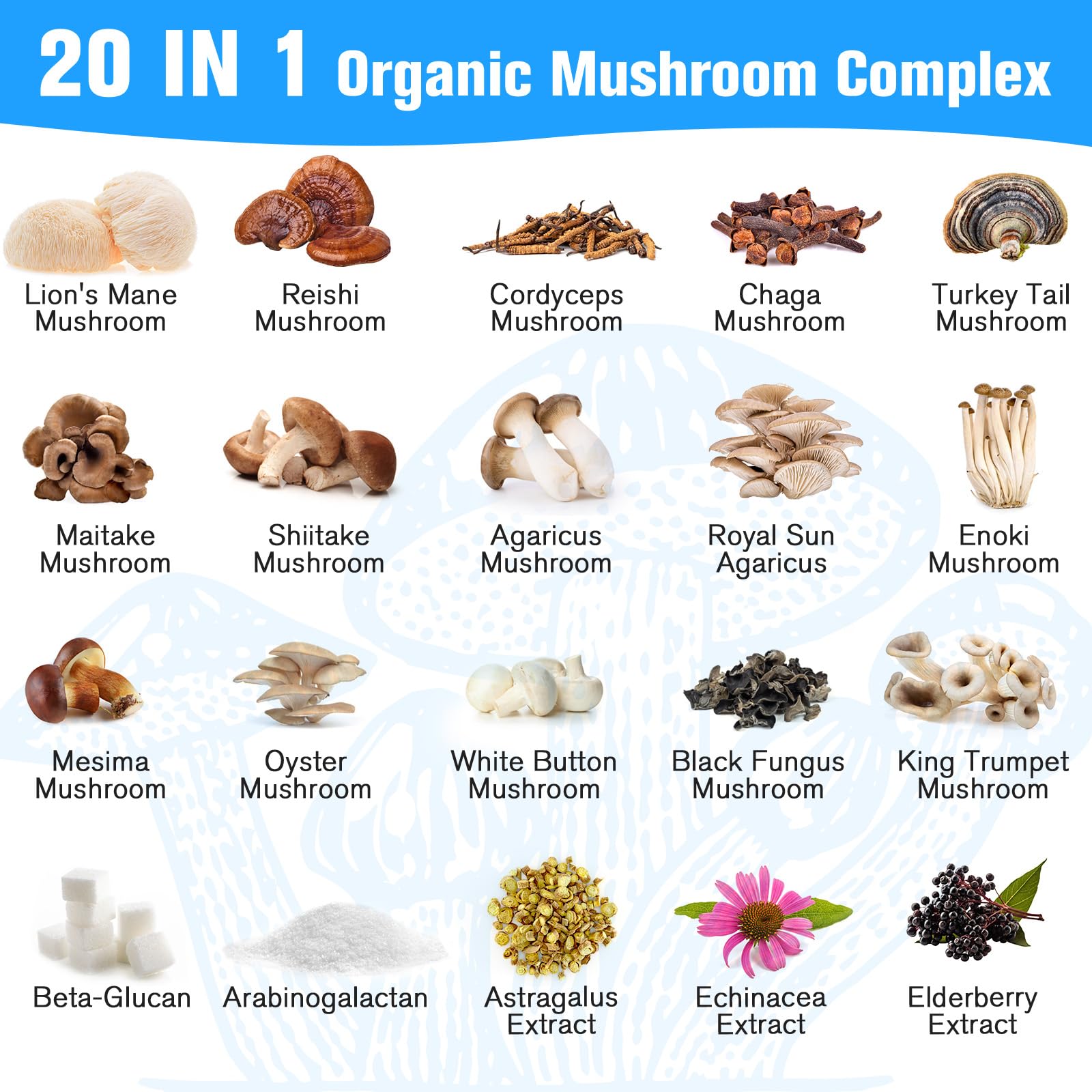 Reishi mushroom for immunity and wellness in the formula