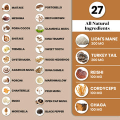 Close-up of mushroom supplement capsules