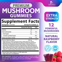 Close-up of 12-mushroom complex ingredients including Lion's Mane, Reishi, Cordyceps