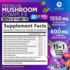 Close-up of 11-in-1 mushroom complex blend ingredients