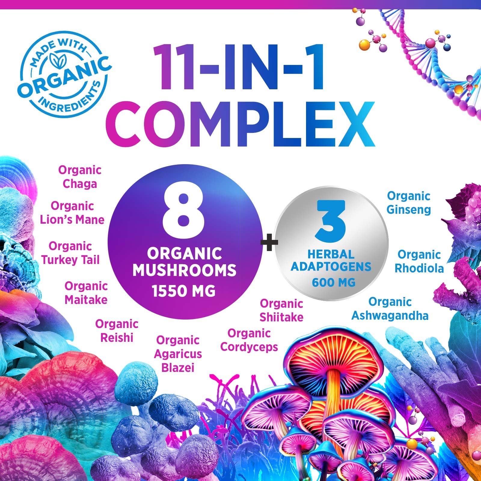Organic mushroom extracts including Lion's Mane, Reishi, Cordyceps, Chaga