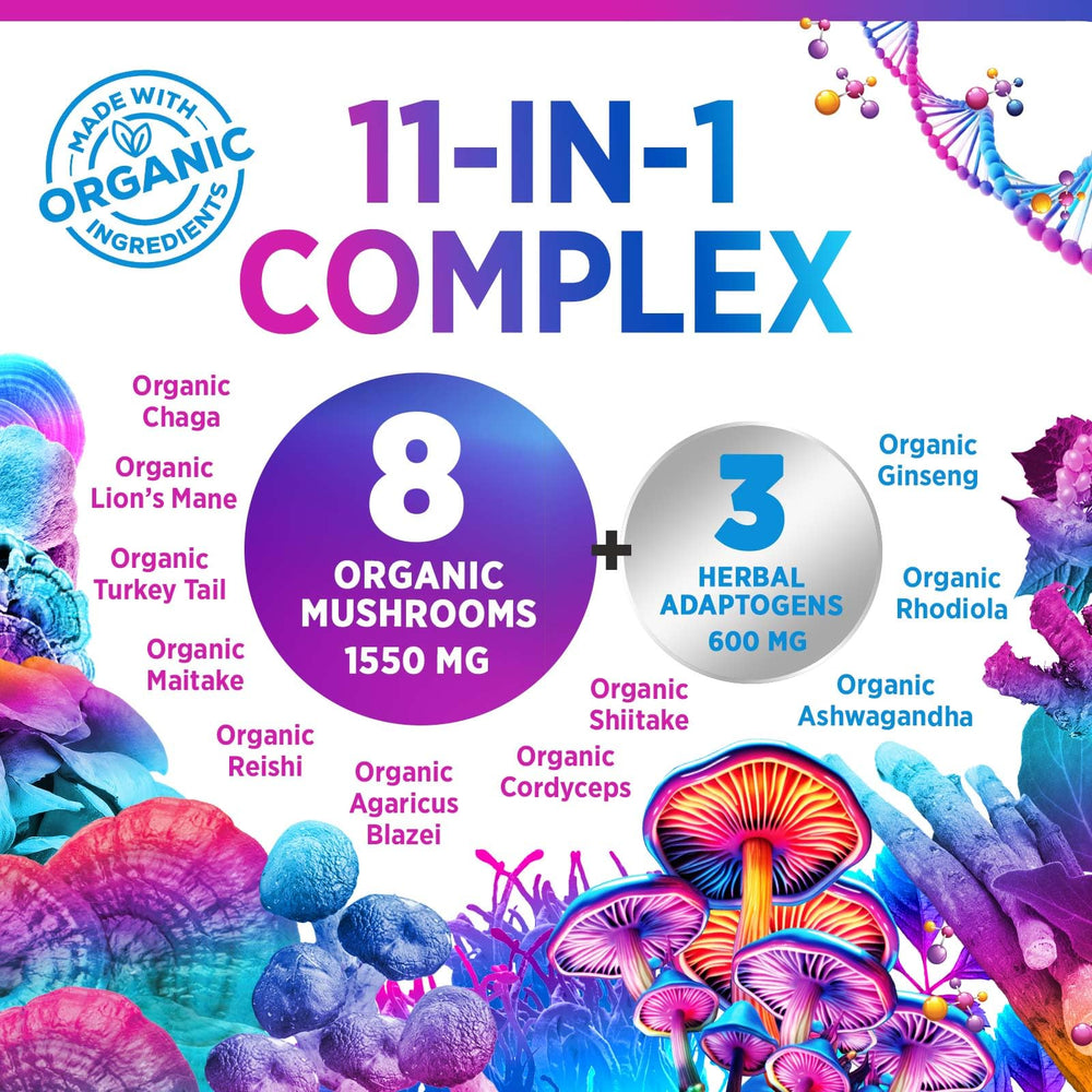 Organic mushroom extracts including Lion's Mane, Reishi, Cordyceps, Chaga