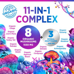 Organic mushroom extracts including Lion's Mane, Reishi, Cordyceps, Chaga