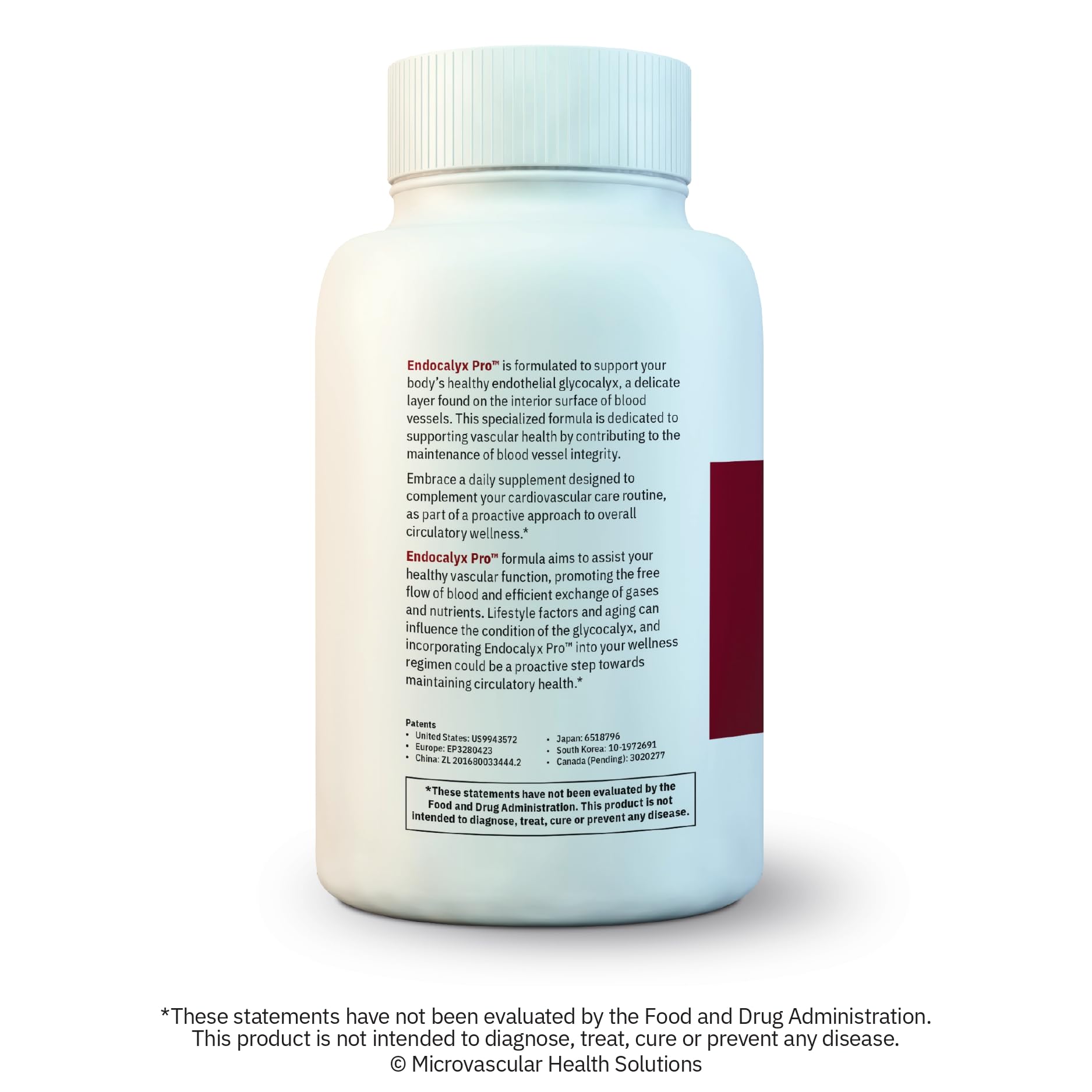 Endocalyx Pro capsule support for nitric oxide