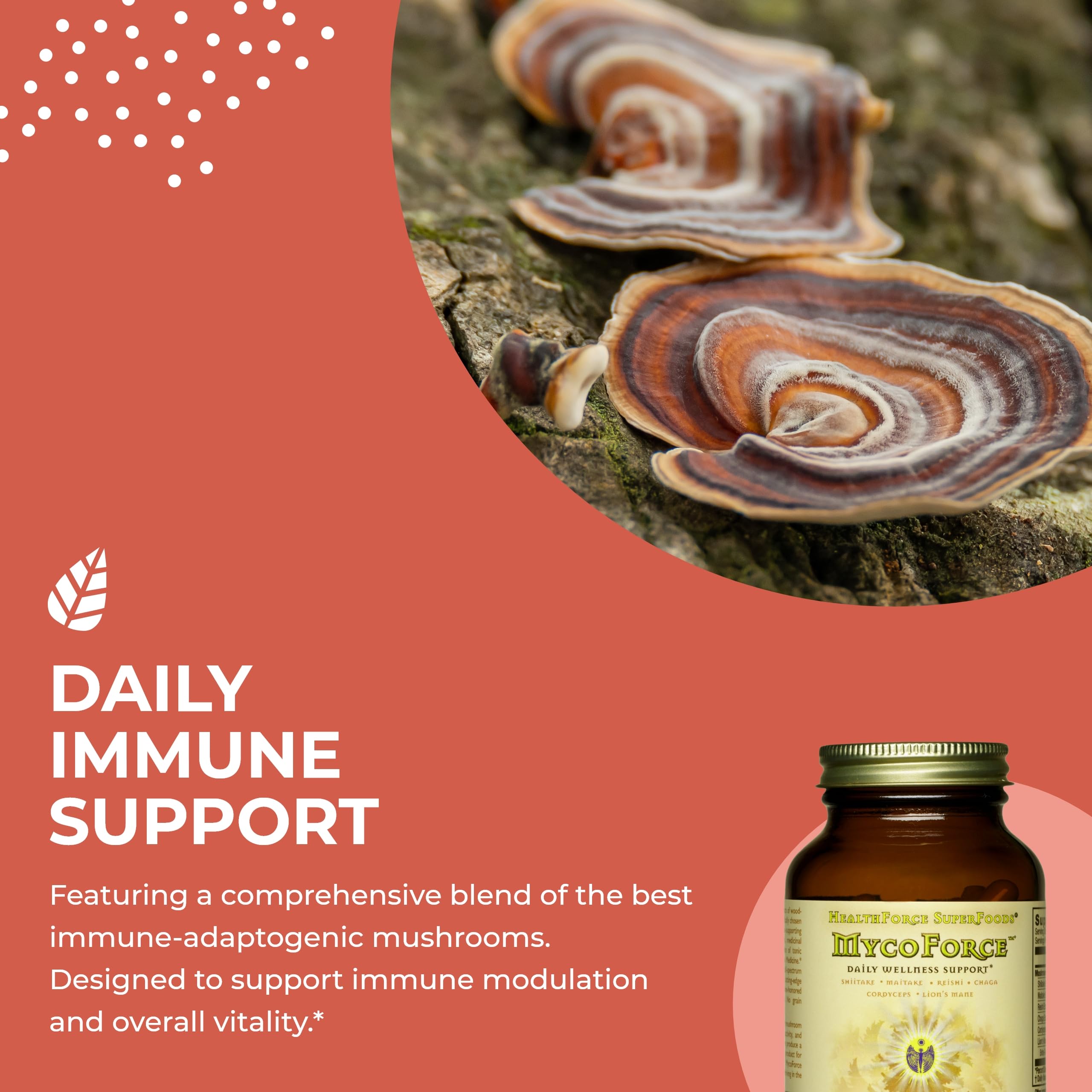 Mushroom blend ingredients highlight on packaging