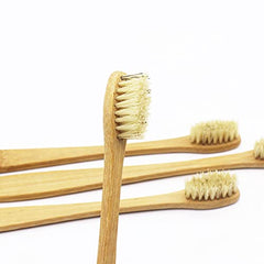 Close-up of bamboo handle and boar bristles