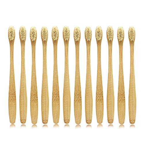 Totally biodegradable toothbrush for zero waste