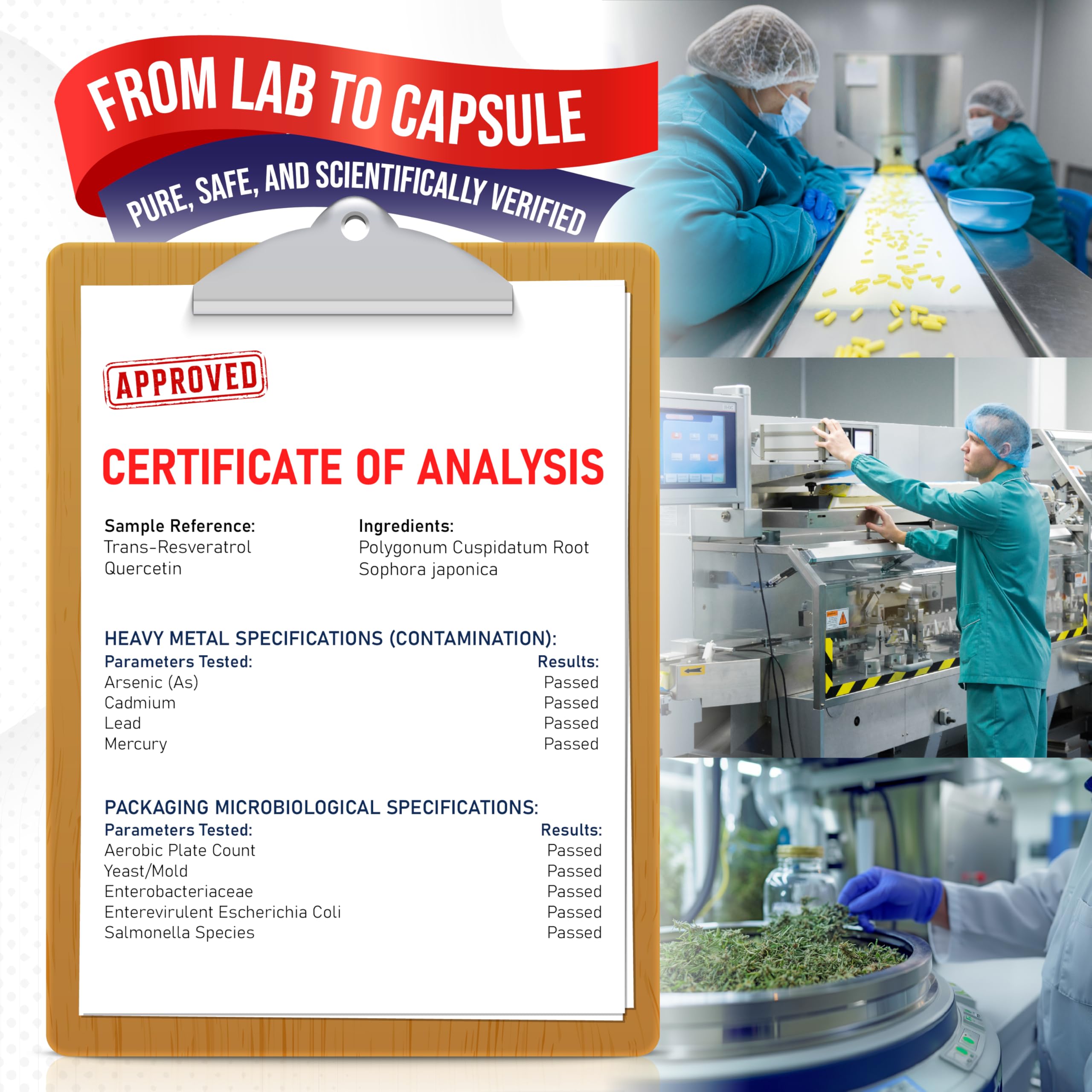 Heart wellness concept graphic