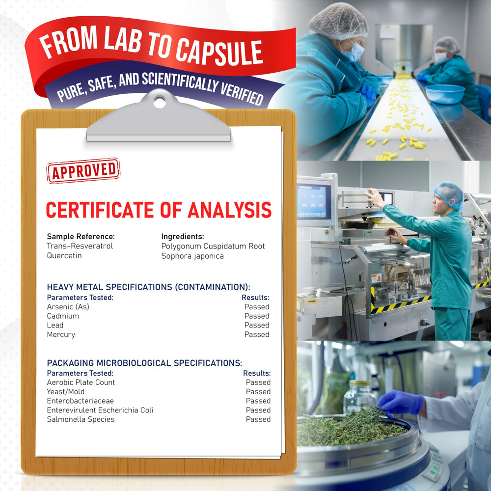 Heart wellness concept graphic