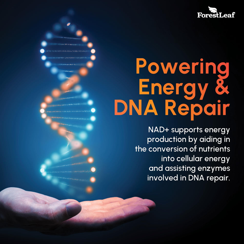 USA-made GMP-certified facility emblem