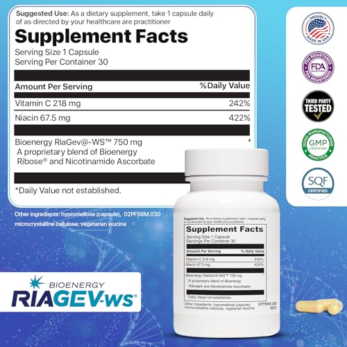 Graphic illustrating NAD+ absorption and bioavailability