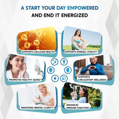 Graphic highlighting the 10-in-1 ingredients