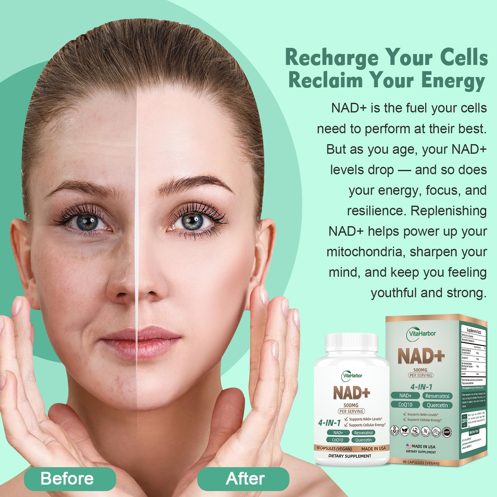 Trans-Resveratrol ingredient from Japanese Knotweed