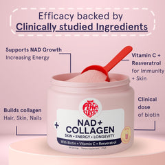 Collagen peptides, vitamin C and biotin ingredients displayed