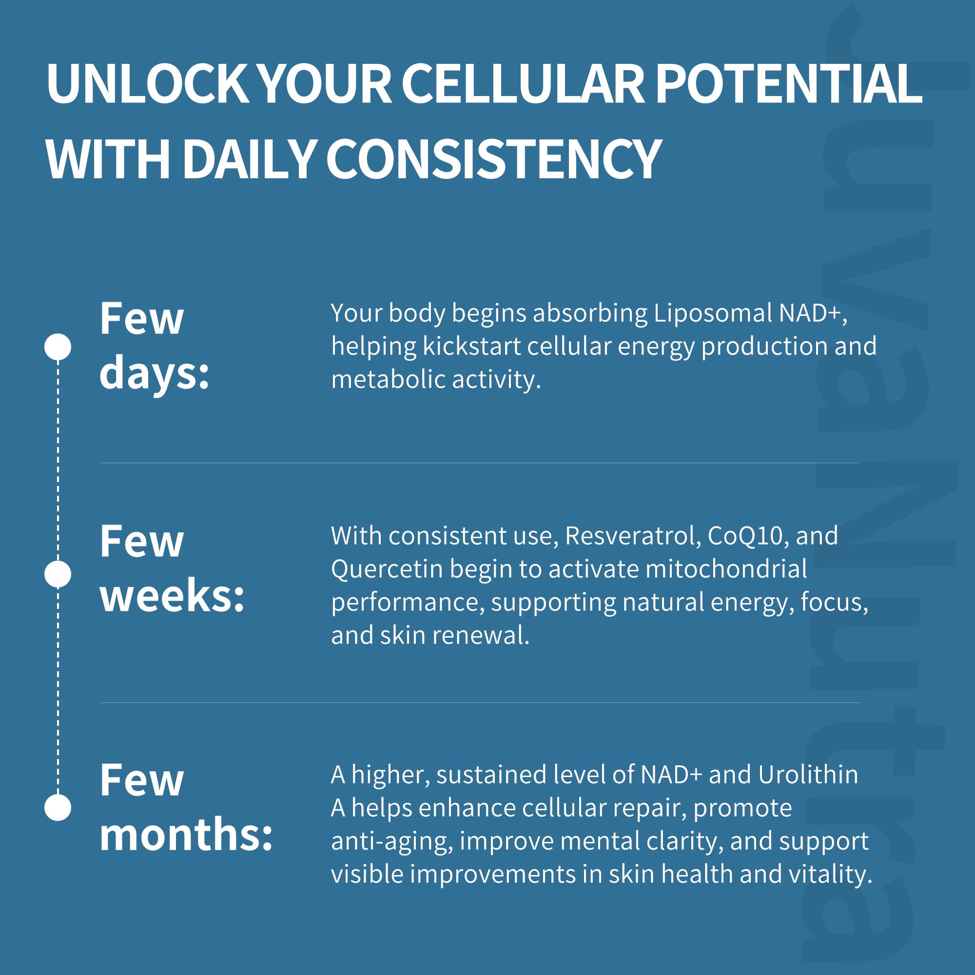 Turmeric, Grape Seed, and Green Tea for antioxidant support