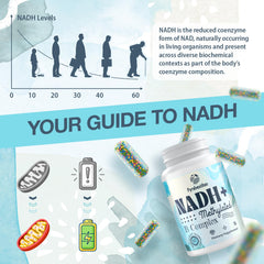 Detailed view of NADH with active B vitamin microbeadlets