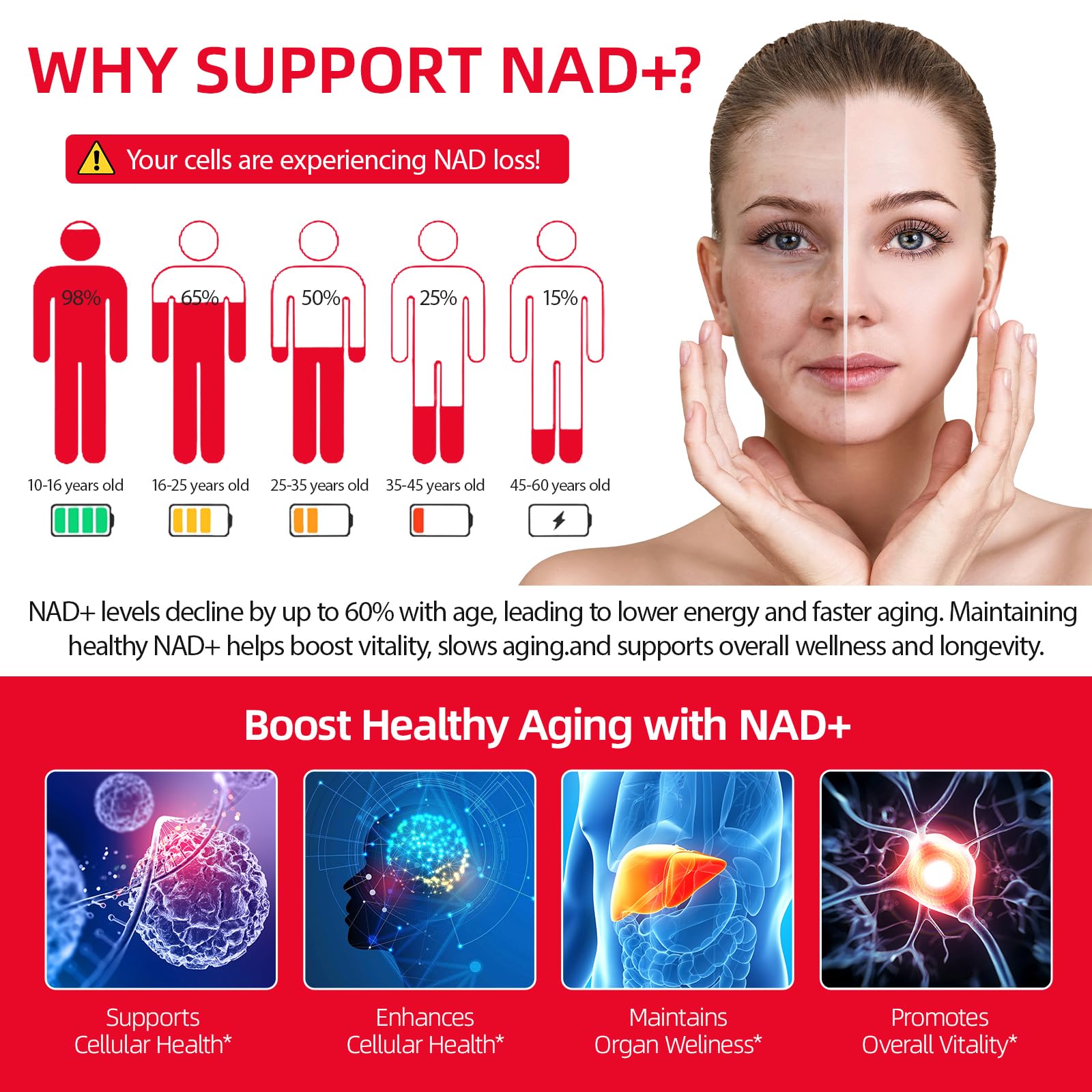 Liquid NAD+ absorption diagram
