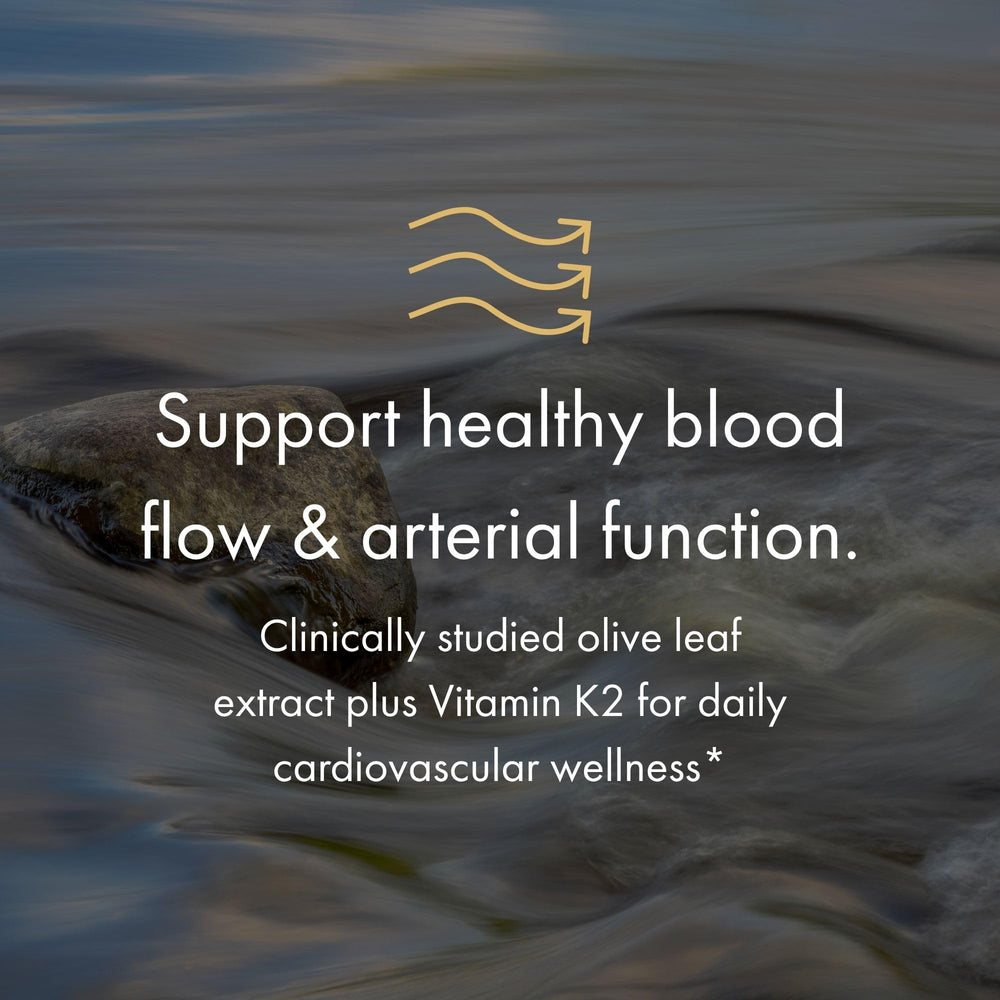 Graphic depicting improved endothelial function and circulation for NAOMI BP Advanced