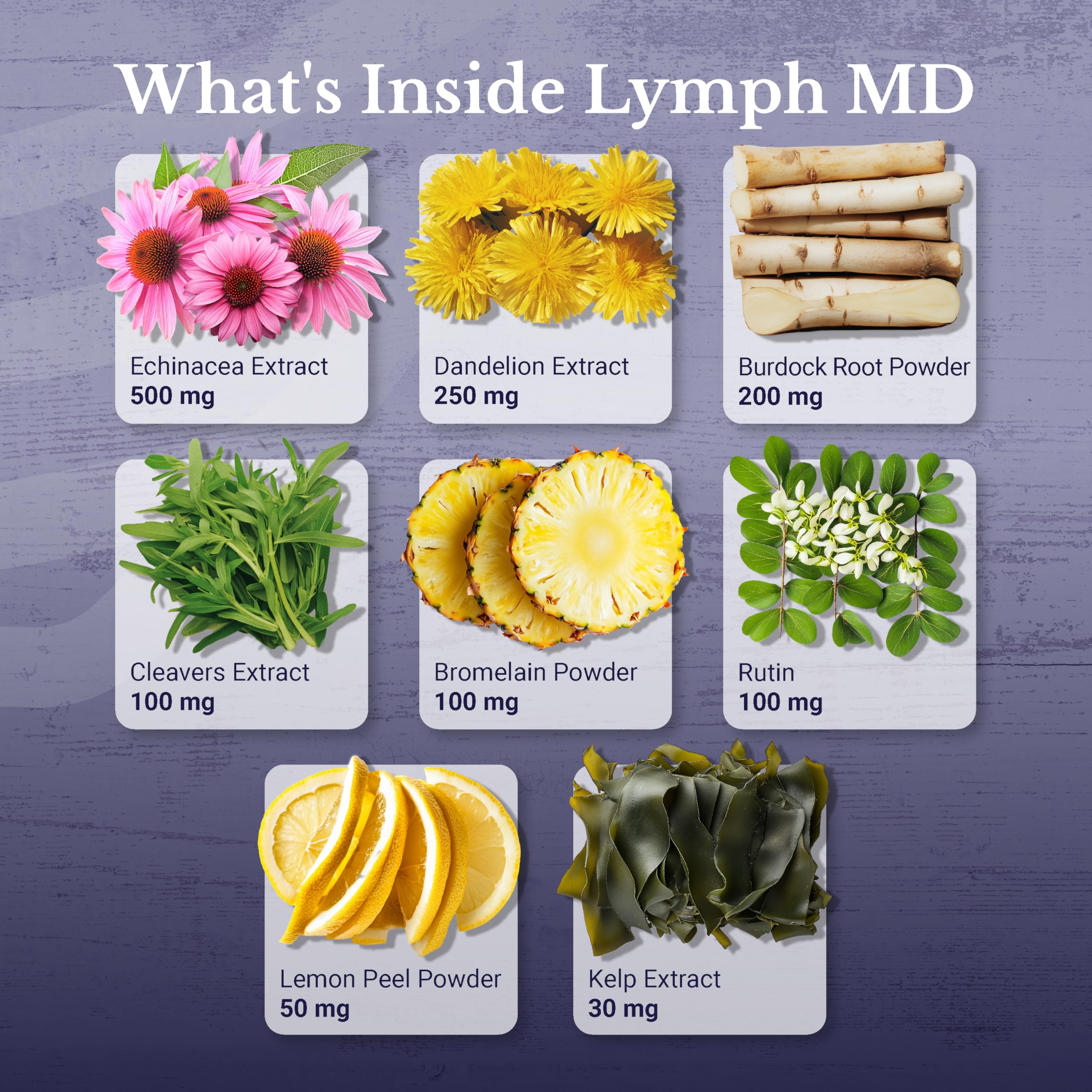 Lymph MD Burdock Powder ingredient close-up