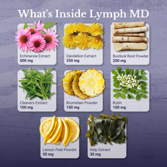 Lymph MD Burdock Powder ingredient close-up
