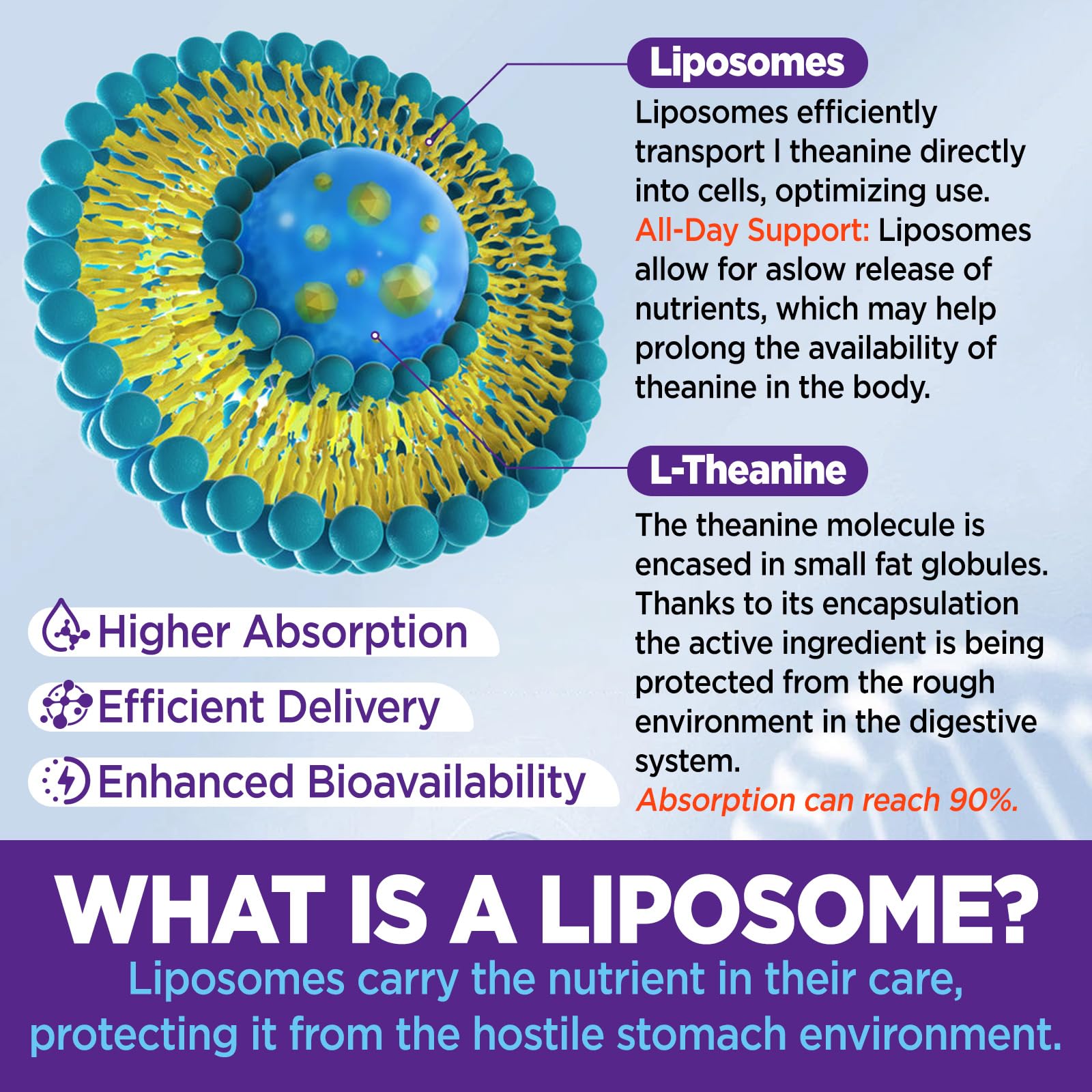 Adult dosing: two gummies for focus and calm