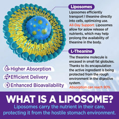 Adult dosing: two gummies for focus and calm