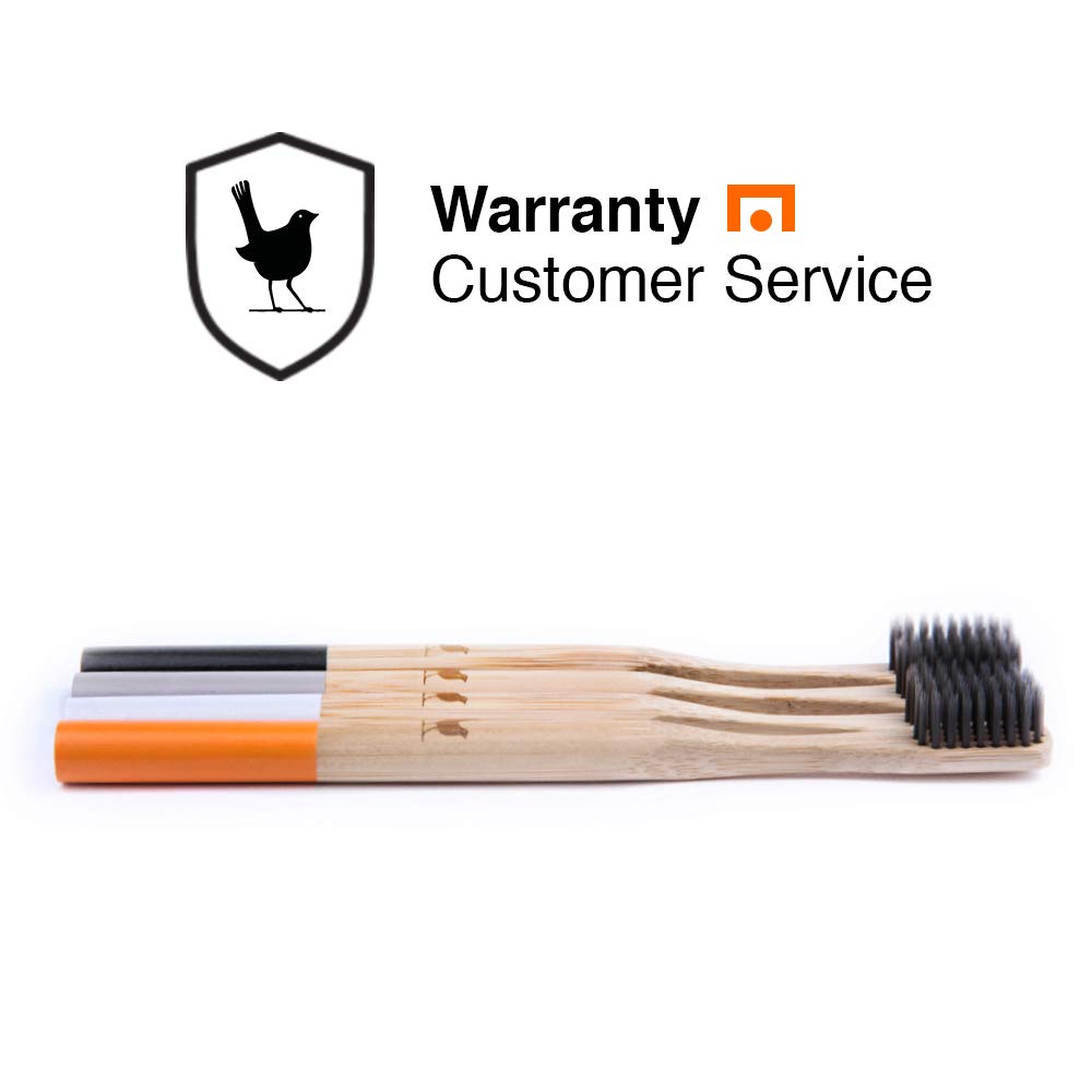 Two-person household with a four-pack Native Birds toothbrushes