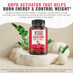 Healthy lifestyle concept with capsules and ingredients: Berberine HCL, Cinnamon, Bitter Melon, Green Tea