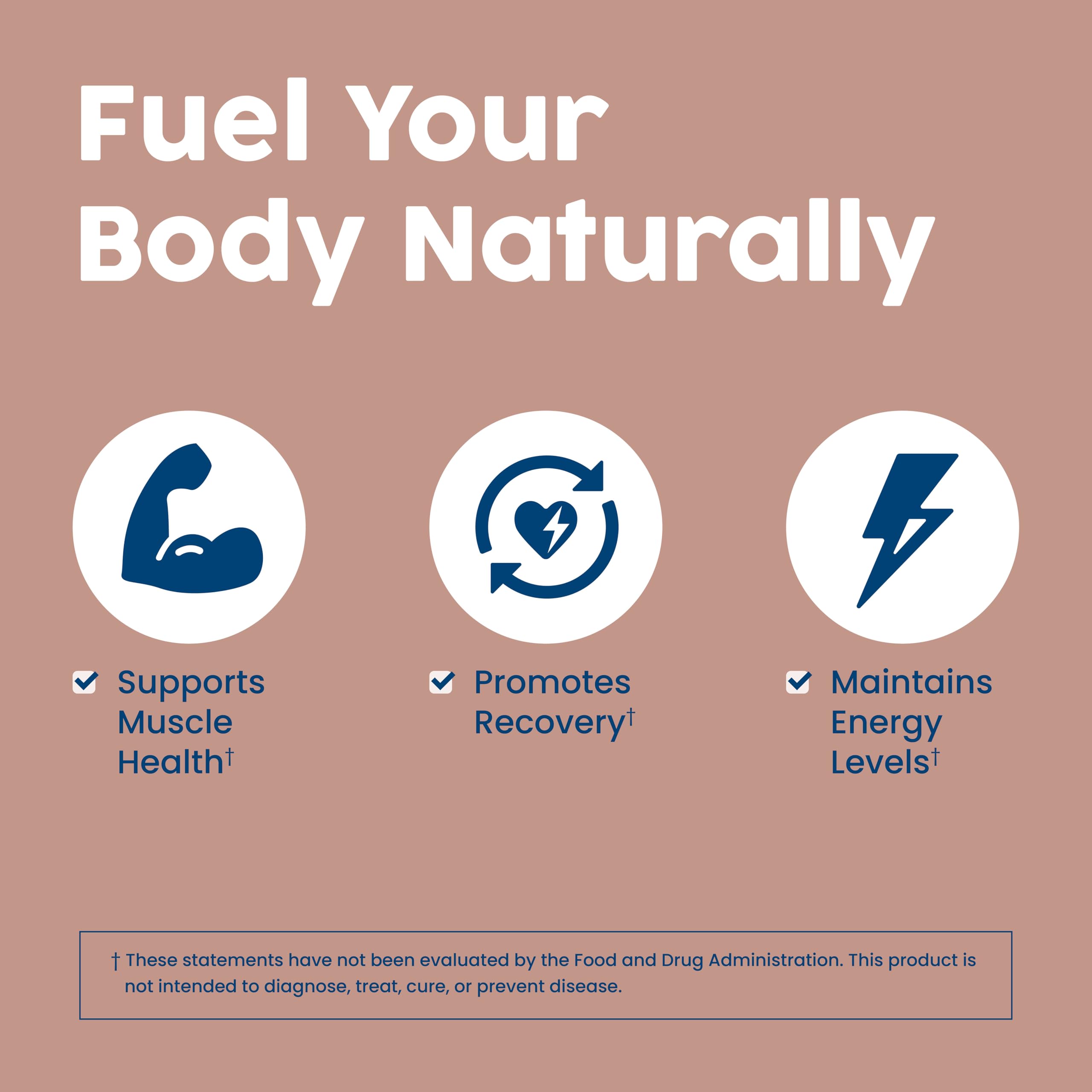 NativePath Complete Beef Protein Powder with coffee mug illustrates easy protein coffee.