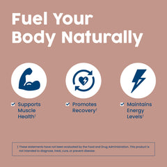 NativePath Complete Beef Protein Powder with coffee mug illustrates easy protein coffee.