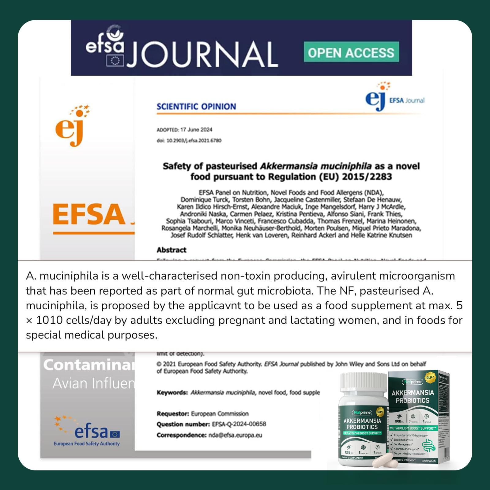 Metabolic support with vitamins and immune balance graphics