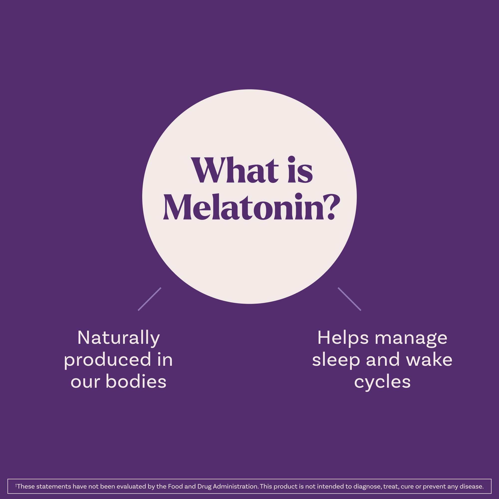 Berry flavor serving graphic for Natrol Liquid Melatonin