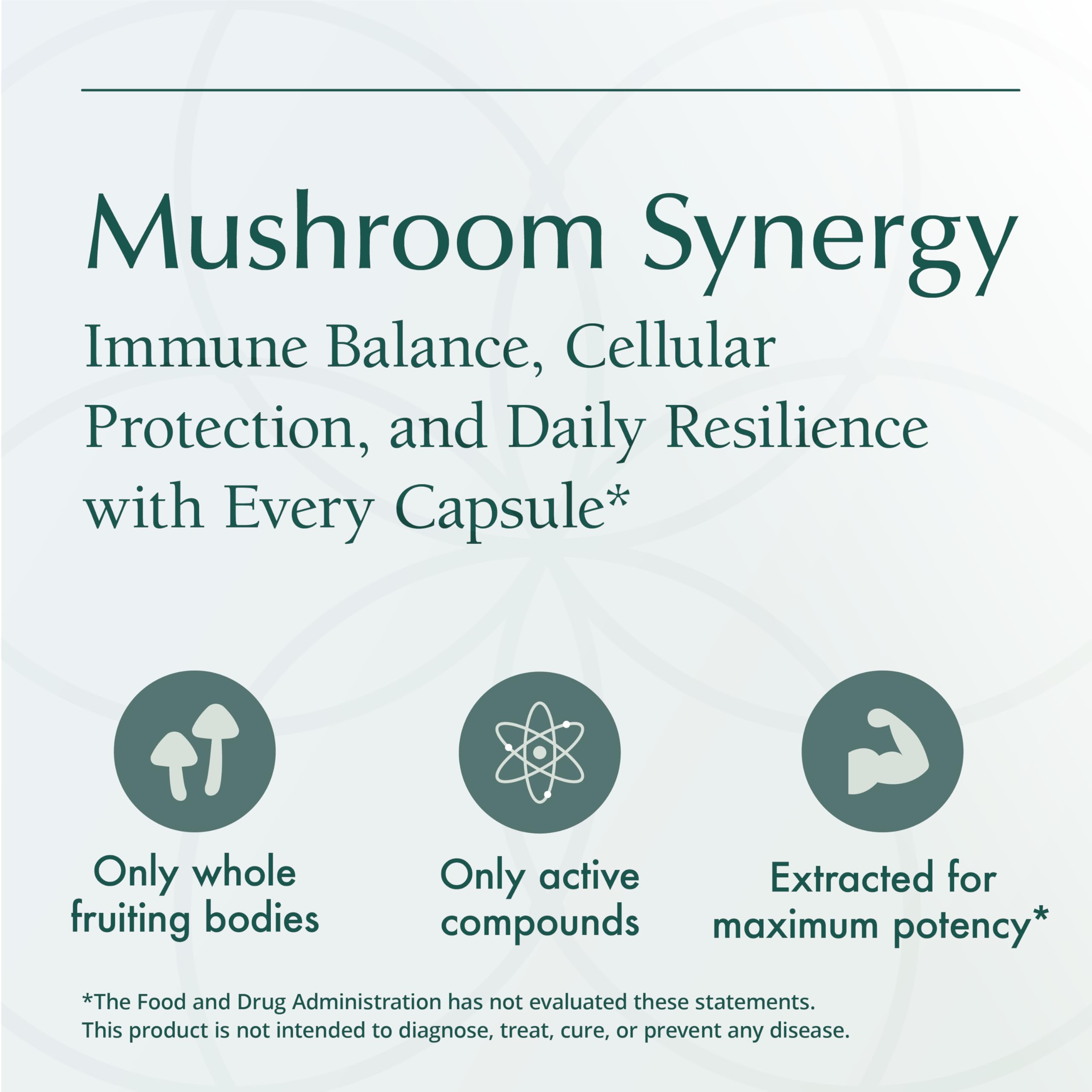 Immune support and antioxidant mushroom supplement imagery