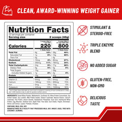 Close-up of vanilla Weight Gain powder texture