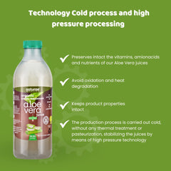 Illustration of digestive wellness with Naturae Aloe Vera Juice