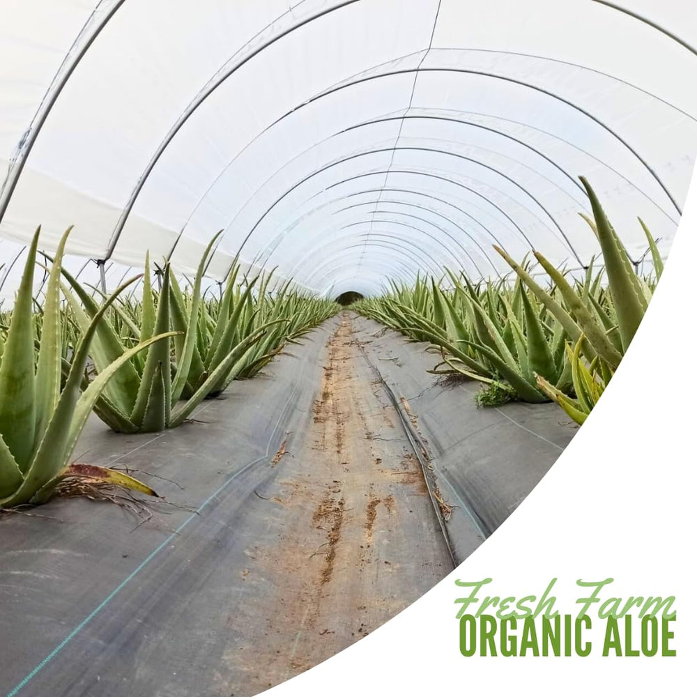 Label shows no added sugars on Naturae Aloe Vera Juice