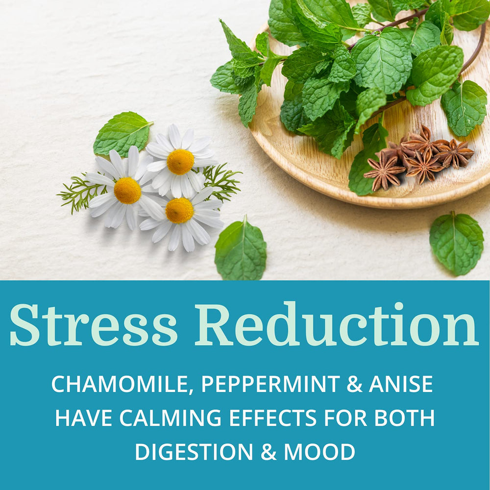 Natural alkaline formula made in the USA with allergen information