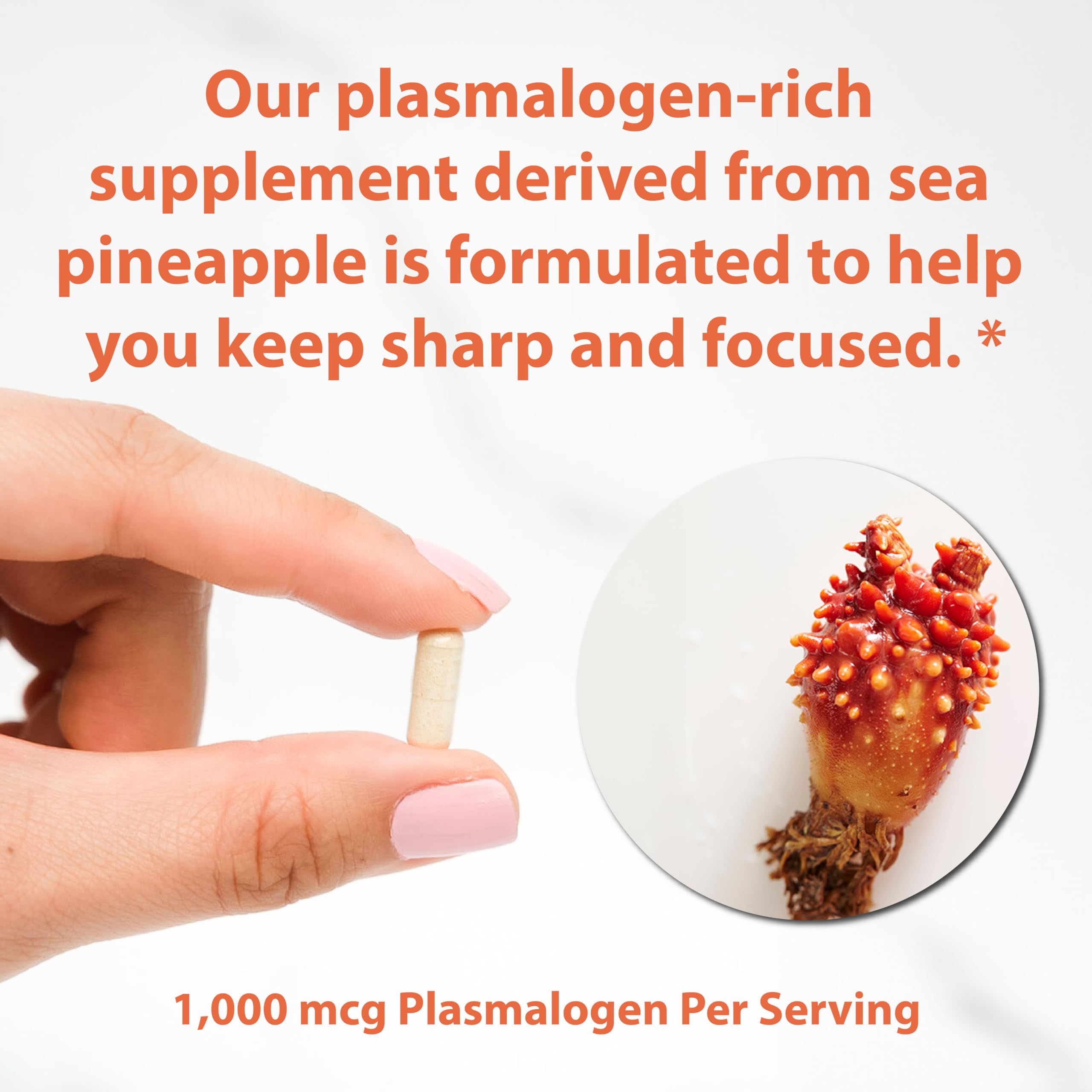 Antioxidant defense concept representing sea-derived plasmalogens