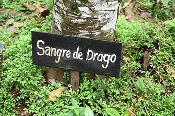 Natural variation in appearance due to evaporation