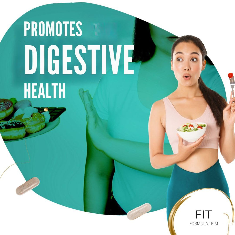 Visual illustrating digestion, fullness, and gut health