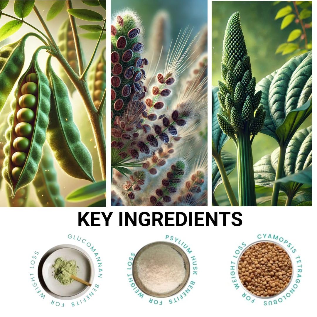 Plant-based vegan formula ingredient lineup