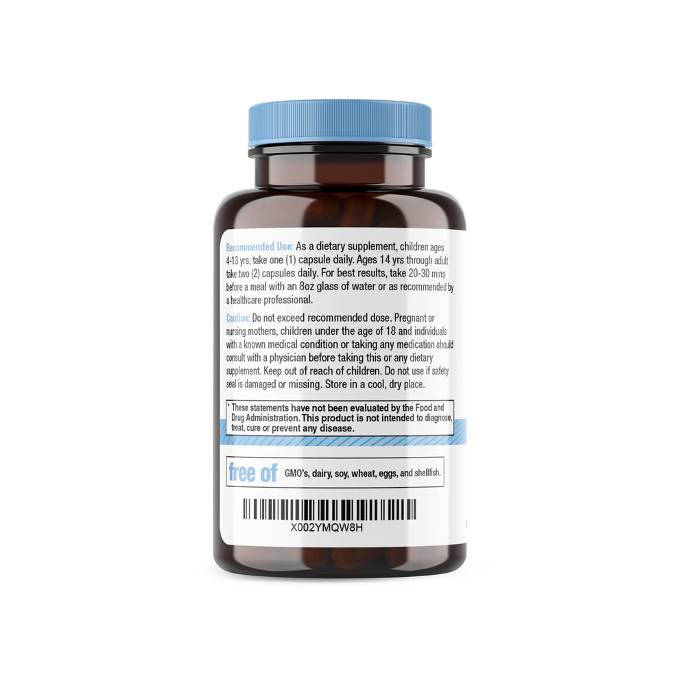 Mushrooms as natural energy and nootropic supplement concept