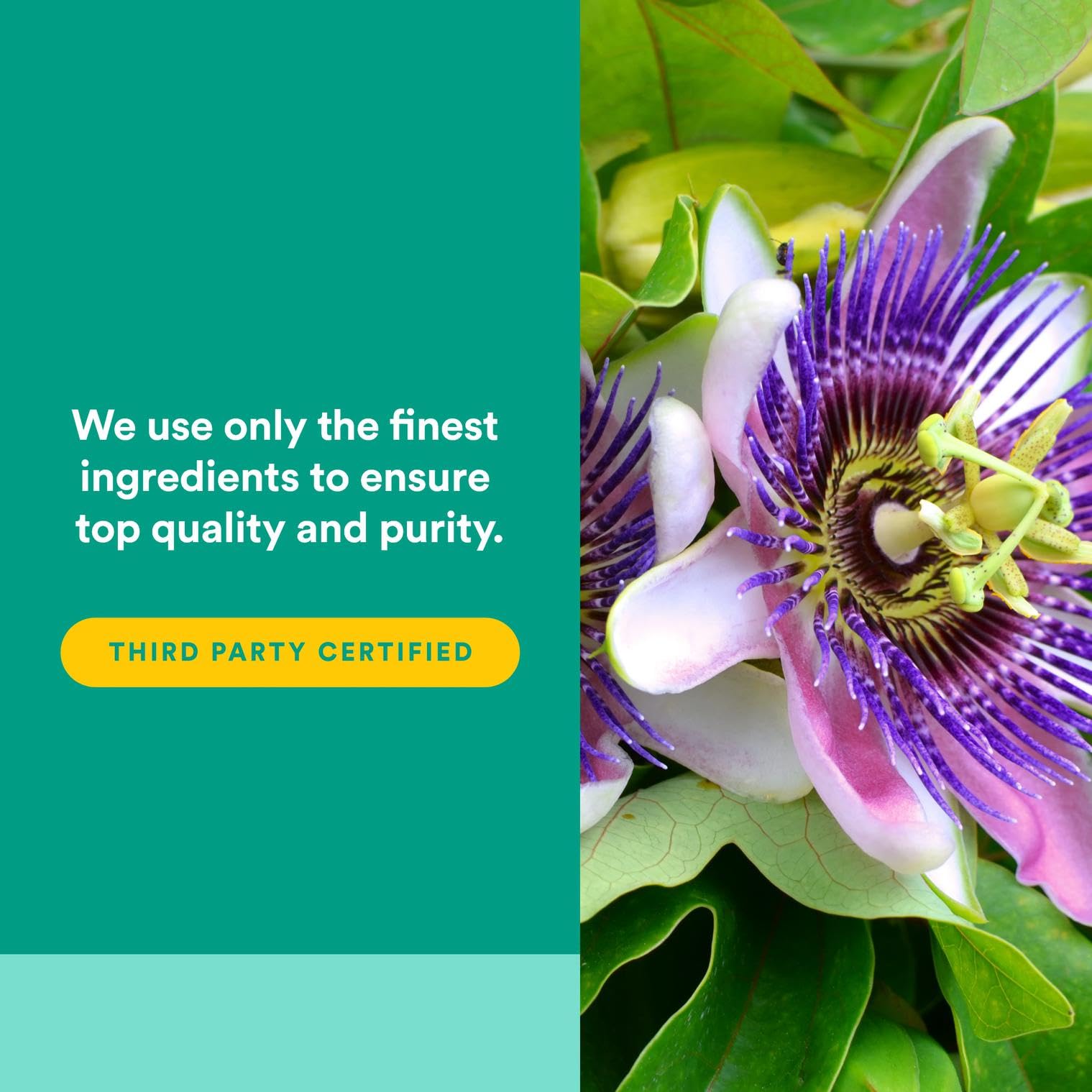 Bottle highlighted with sleeping icon and 90 capsules