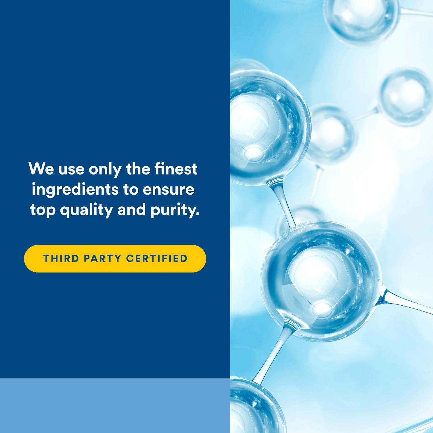 Nutrition facts panel for Acetyl L-Carnitine 500 mg