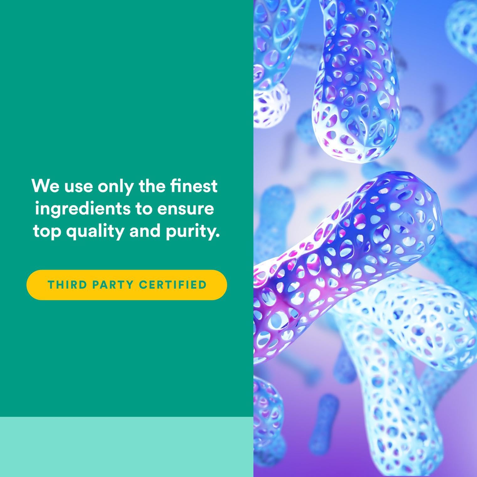 Ingredients list for Natural Factors Alpha-Lipoic Acid 200 mg 120 capsules