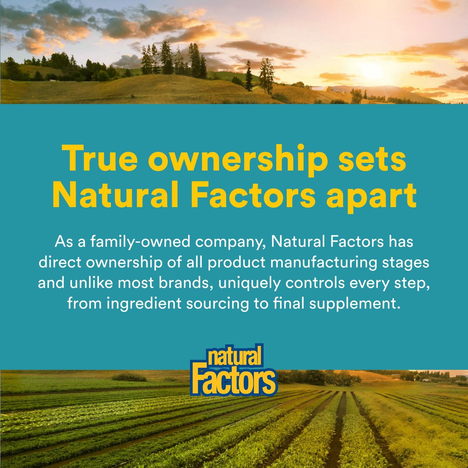 Product image showing Alpha-Lipoic Acid + B 600 mg bottle and capsules