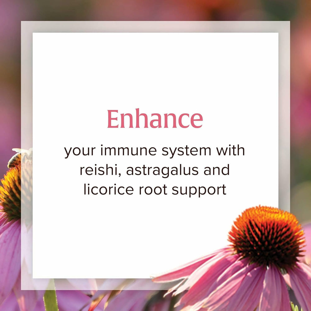 Whole echinacea herb close-up
